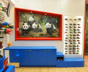 La cabane du bébé panda et de ses amis devient un siège d'essayage pour les amis